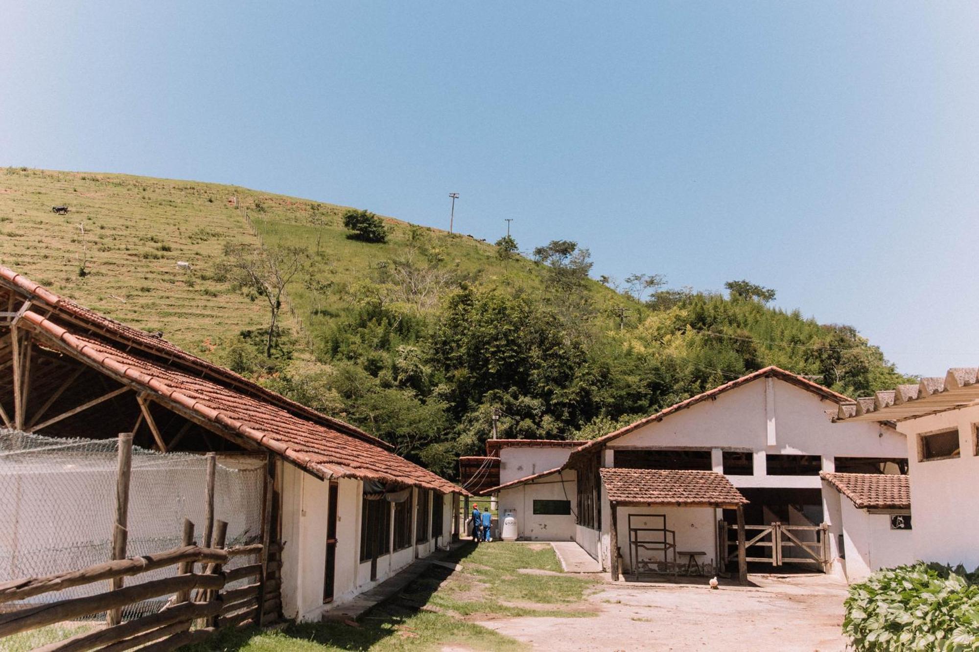 Resort Fazenda 3 Pinheiros إنجينهيرو باسوس المظهر الخارجي الصورة